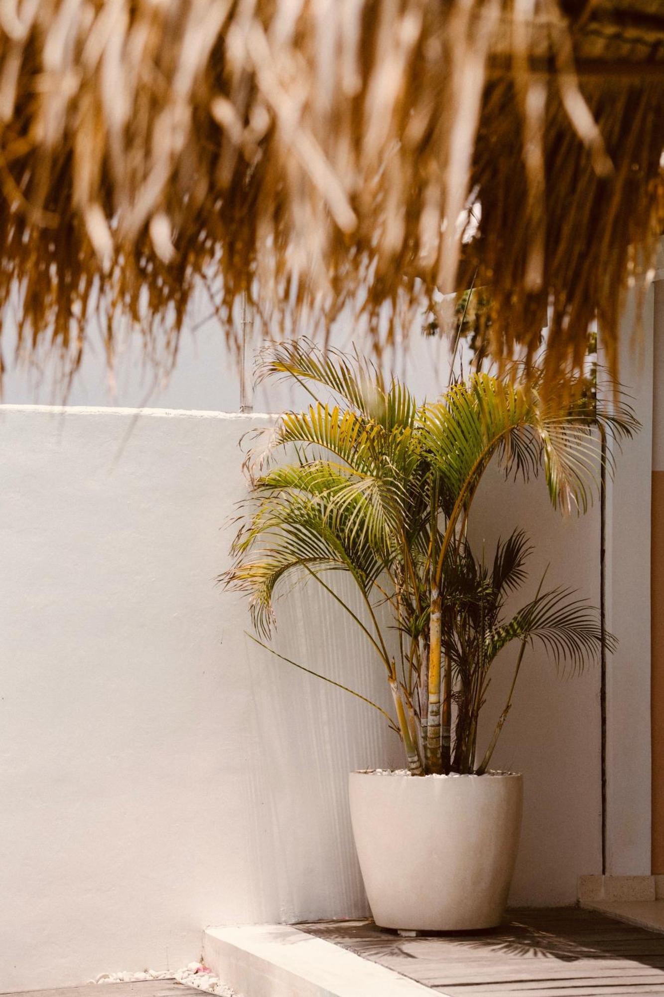 Love Song Boutique Hotel Canggu Exteriör bild